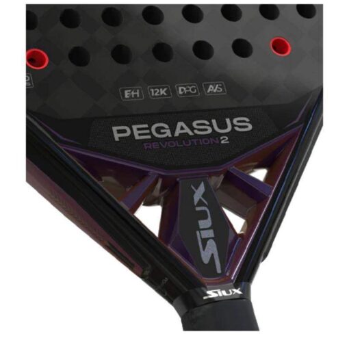 Siux Pegasus Revolution 2 2024 - Image 3