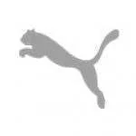 Puma Icon